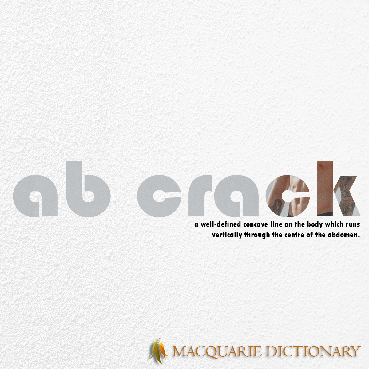 Image of Macquarie Dictionary Word of the Year - ab crack - a well-defined concave line on the body which runs vertically through the centre of the abdomen. Image of Macquarie Dictionary Word of the Year - ab crack - a well-defined concave line on the body which runs vertically through the centre of the abdomen.