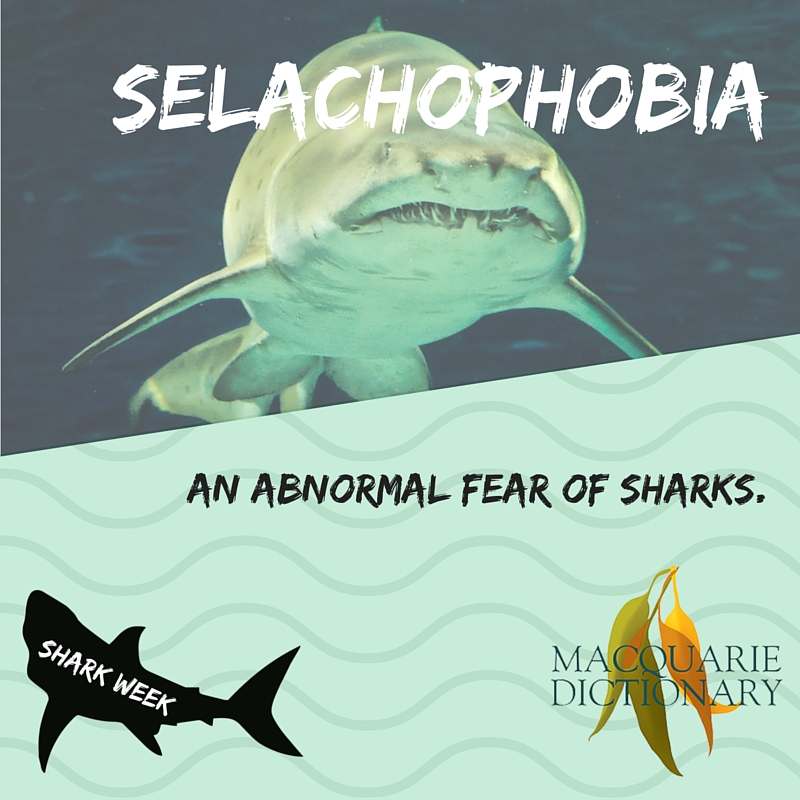 selachophobia - an abnormal fear of sharks